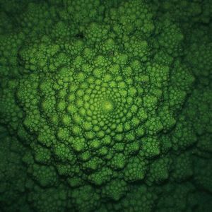 Meet your Posher, Adrian